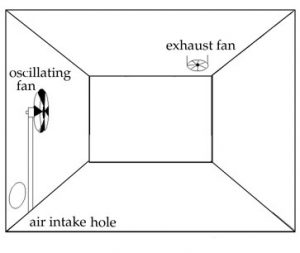 oscillating fan for air circulation