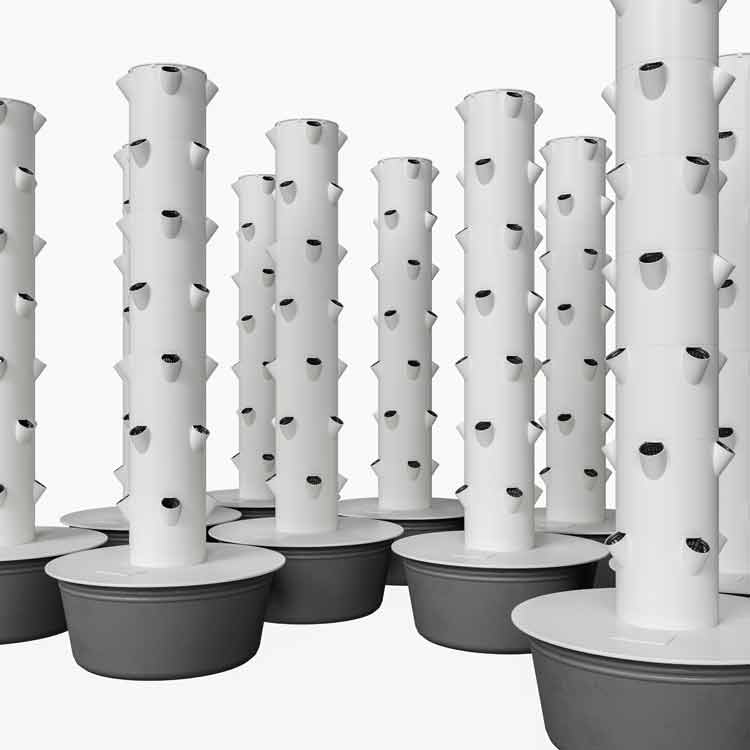 Aeroponic Vertical Column System Using PVC Pipe and Containers