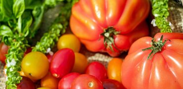 Tomatoes Assorted