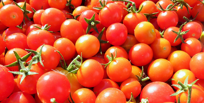 Hanging Tomatoes