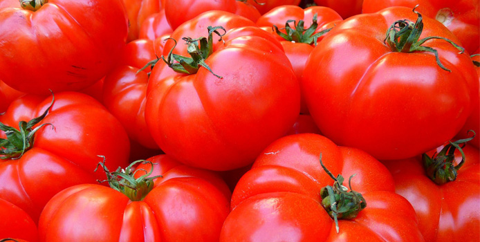 Squamis Tomatoes