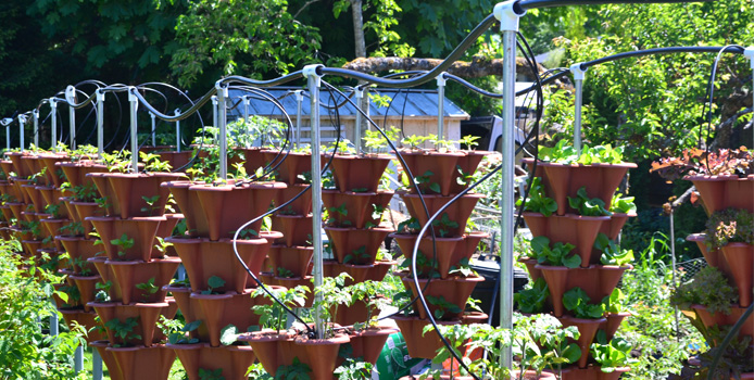 Vertical Garden for Vancouver, West Vancouver, Squamish and Whistler