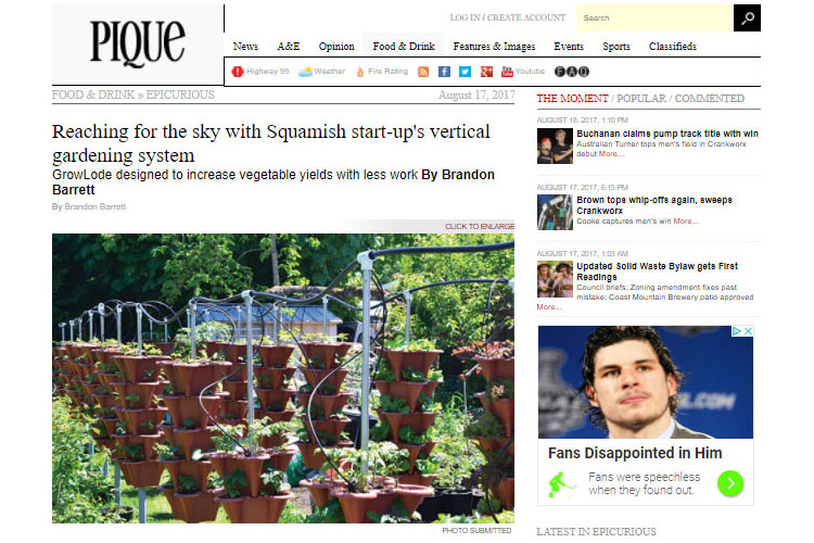 Pique magazine Article For Vertical Garden