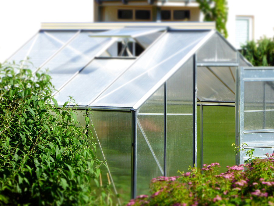 Greenhouse