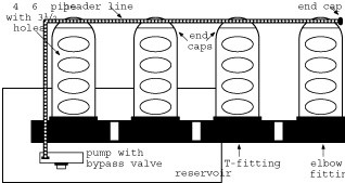 Nutrient Film Technique