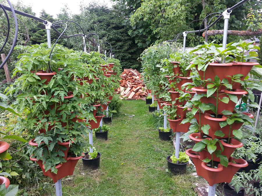 Vertical Garden Row View