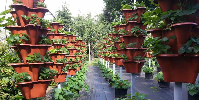 Effective Vertical Gardens: Stack-A-Pot - The Owner-Builder Network