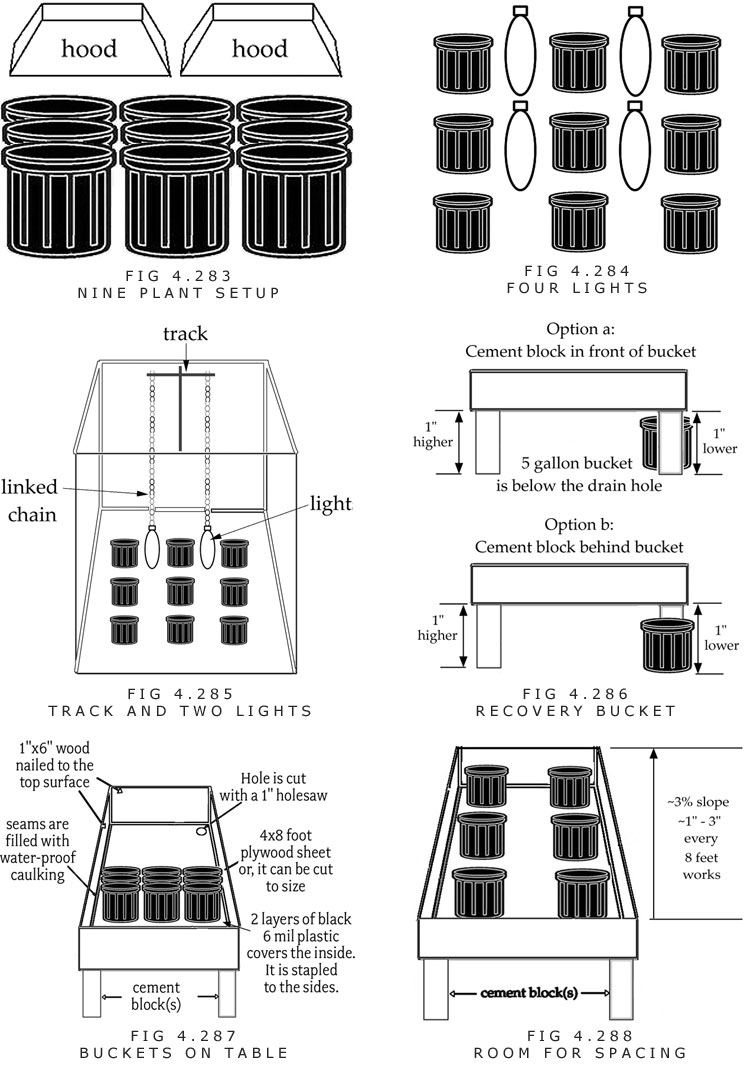 setting up indoor grow lights