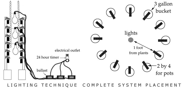 Top view and side view of vertical column system