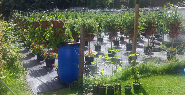 View of Vertical Microfarm From Higher Up