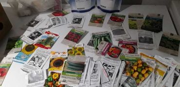 Multiple Vegetable Seed Packages