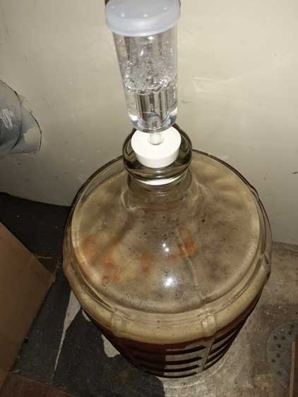 Hard Kombucha with higher alcohol fermenting after 3 weeks with EC-1118 champagne yeast