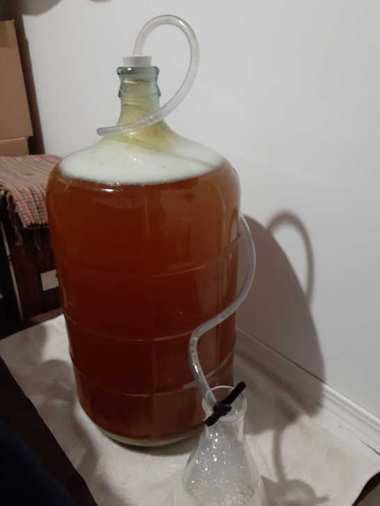 Apple cider in carboy with blow-off